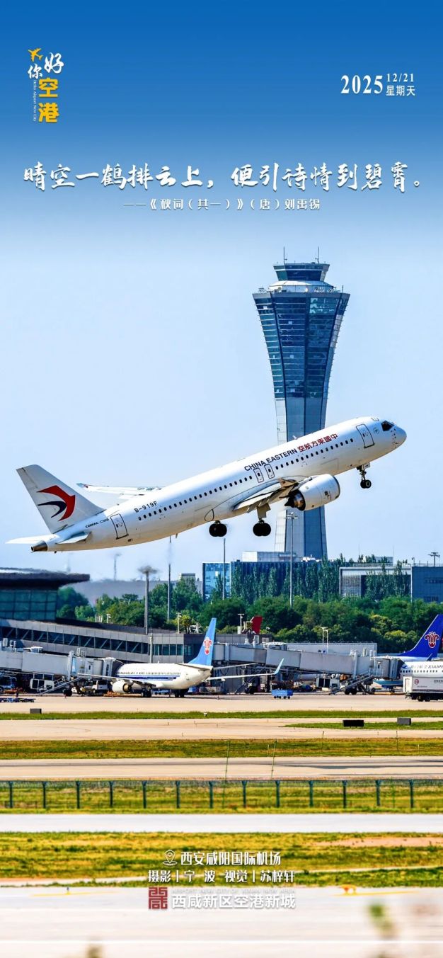 你好·空港丨晴空一鹤排云上，便引诗情到碧霄