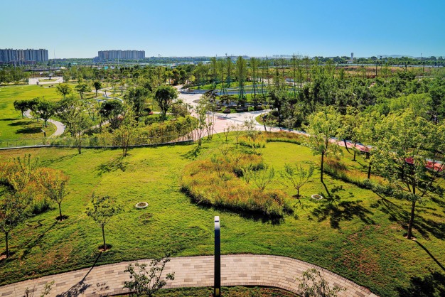 在空港，把春节过成“绿野仙踪”！