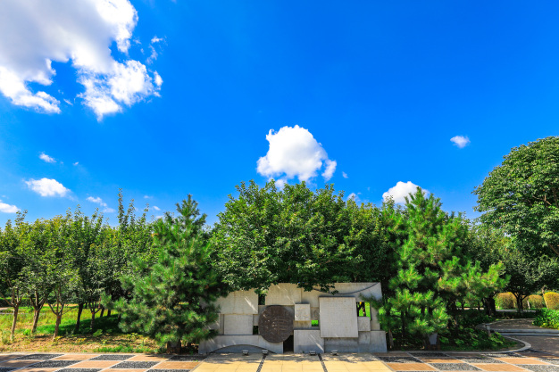 拒绝春节撞衫！解锁你的“空港限定”穿搭